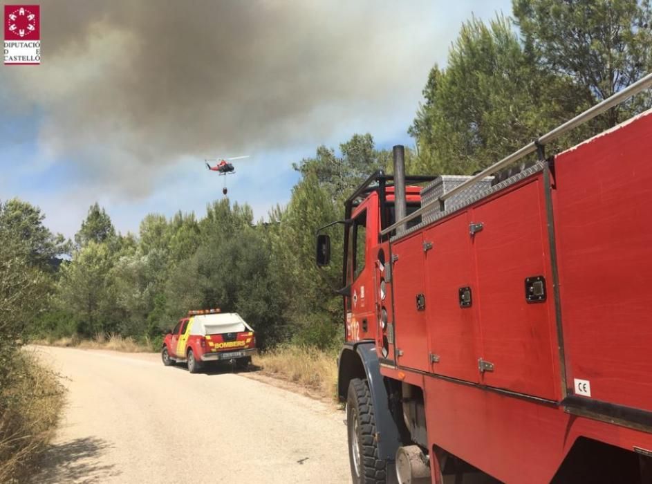 Incendio forestal en Artana