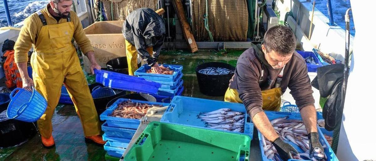Pescadores de Santa Pola distribuyendo las capturas durante una jornada de faena.
