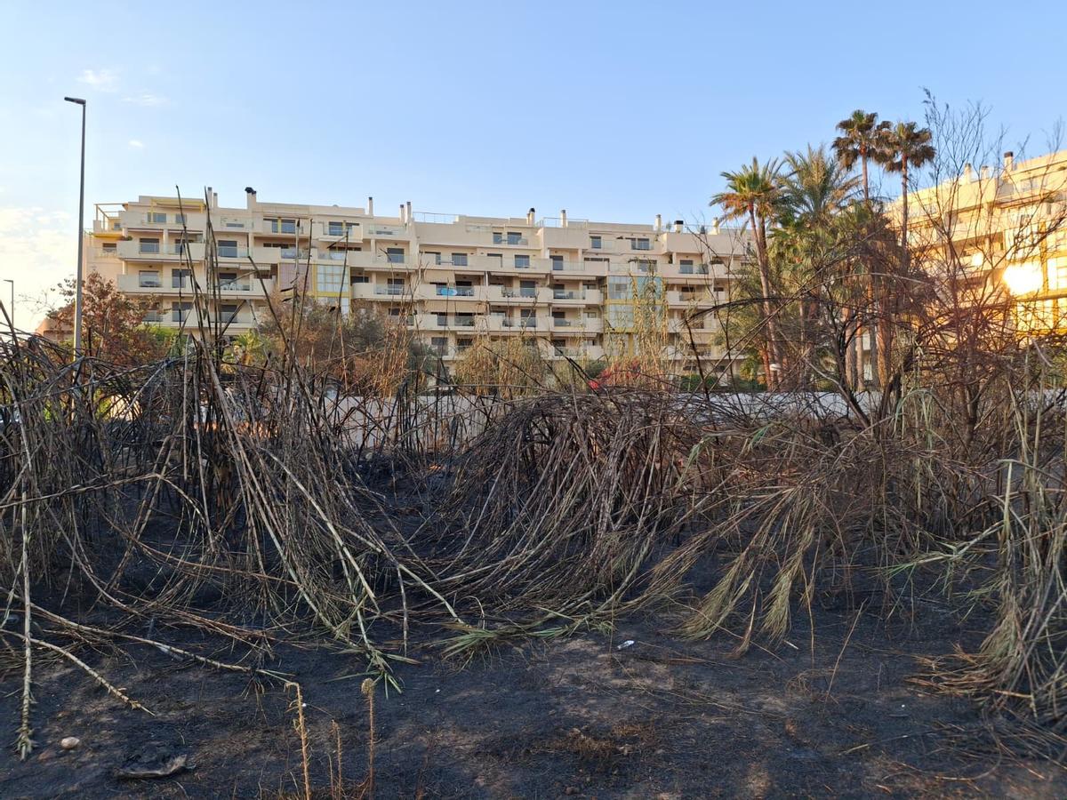 Un tramo de duna calcinado y escombros, abandono y cenizas: el estrago del incendio de Dénia junto a la playa del Raset