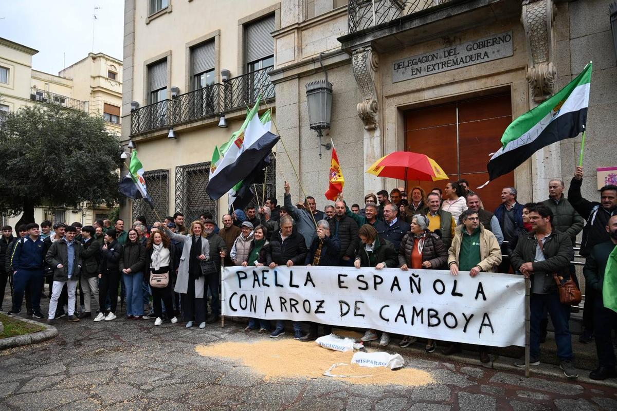 Protesta del sector del arrroz en Badajoz, este viernes.