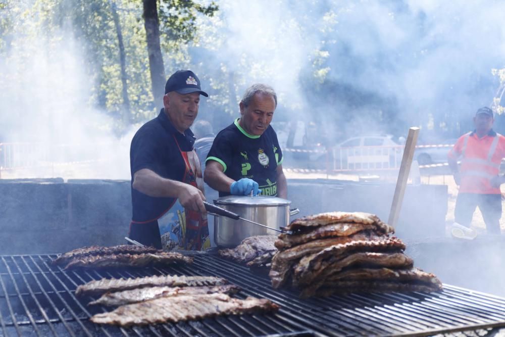 Churrasco, mejillones, sardinas y pulpo hasta empacharse en el parque forestal de Candeán.