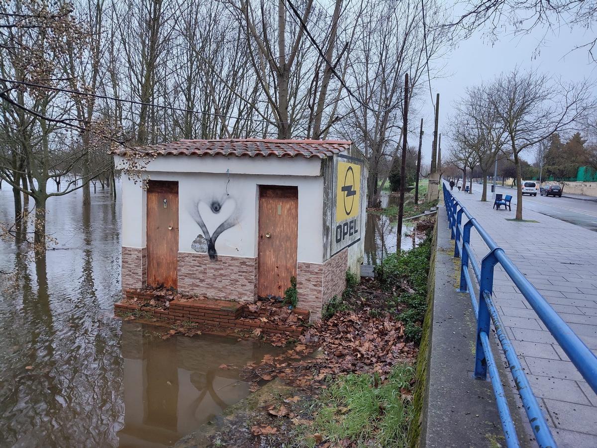 El Alagón a su paso por Coria, en una imagen de esta mañana.