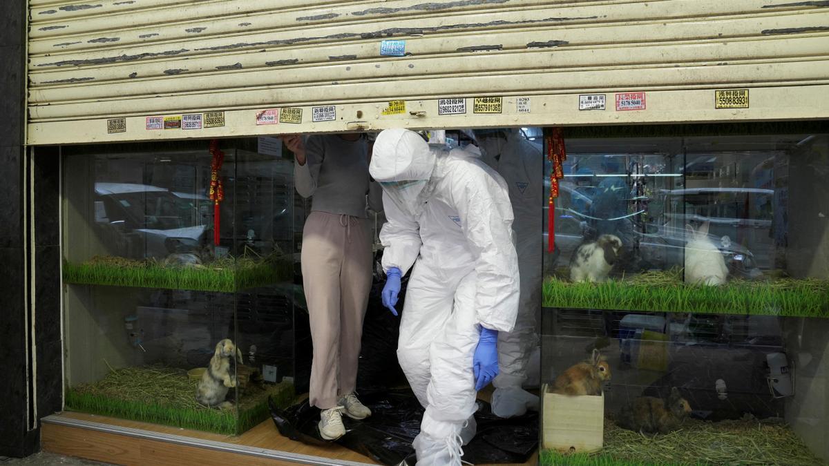 FILE PHOTO: Officers in protective suits at a closed pet shop in Hong Kong