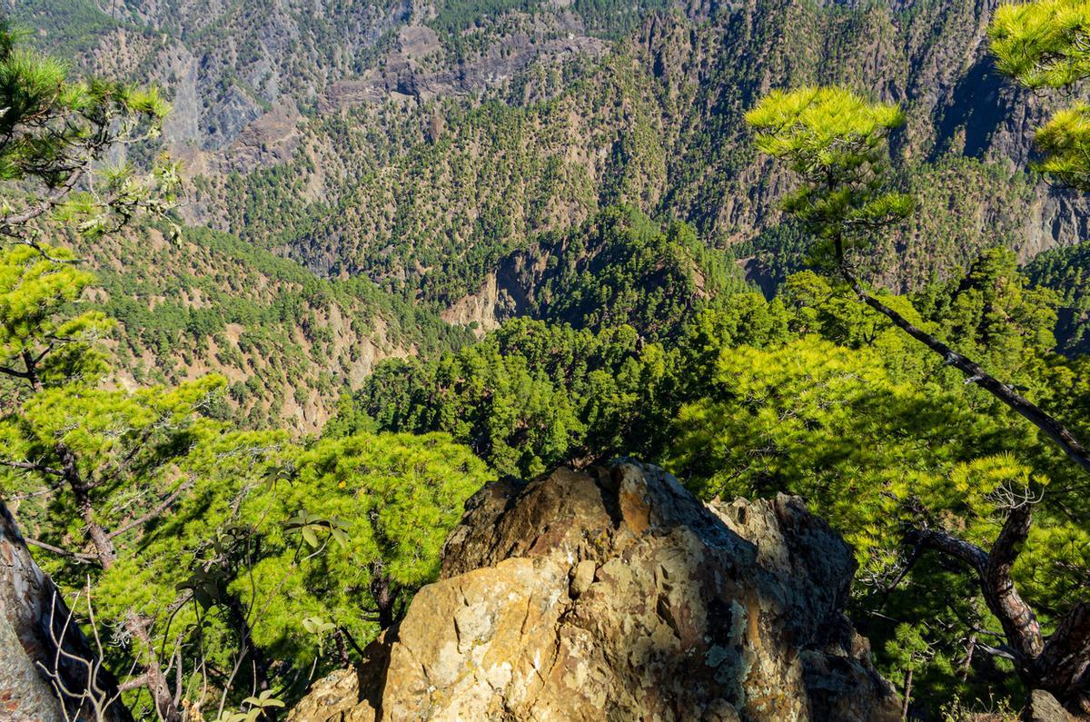 La naturaleza que bordea al pueblo es, sencillamente, espectacular.
