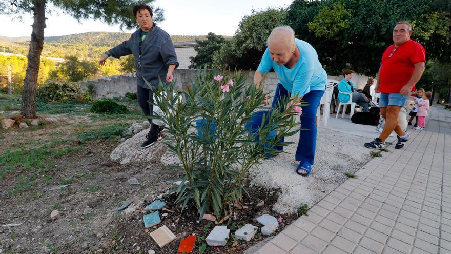 Un jardín plantado por vecinos en Alcoy