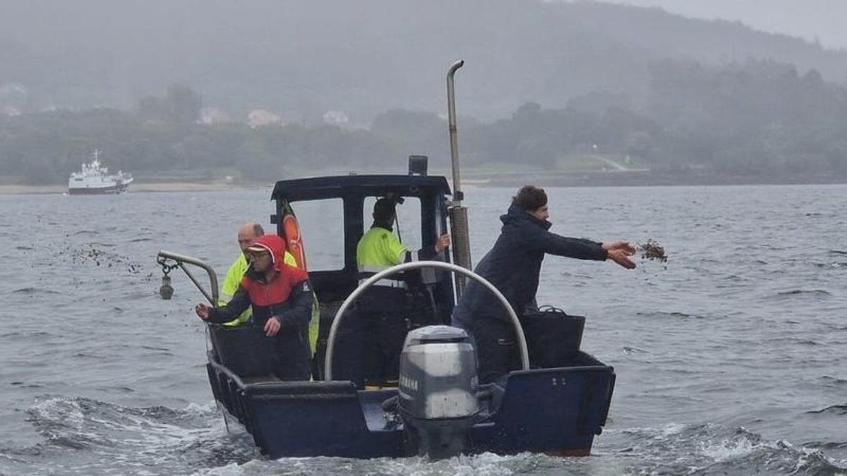 Ría de Muros-Noia, la que más presión contaminante soporta de Galicia.
