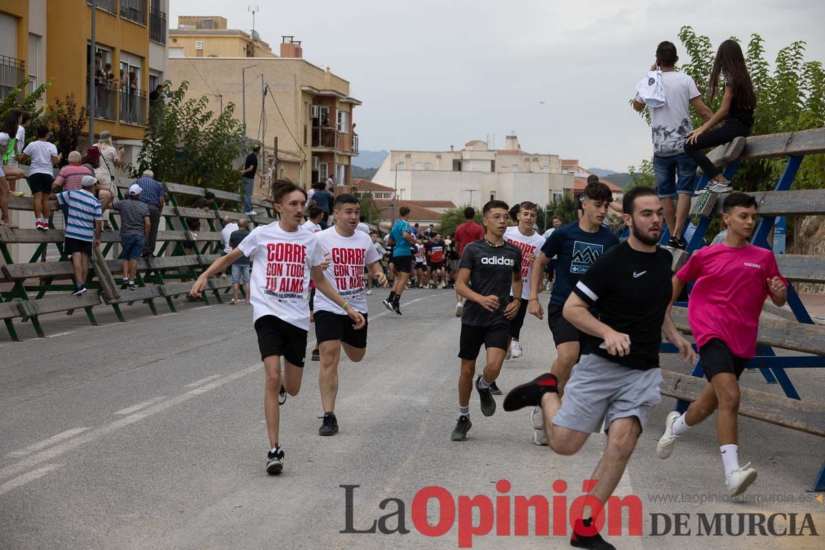 Chupinazo y encierro chico en Calasparra