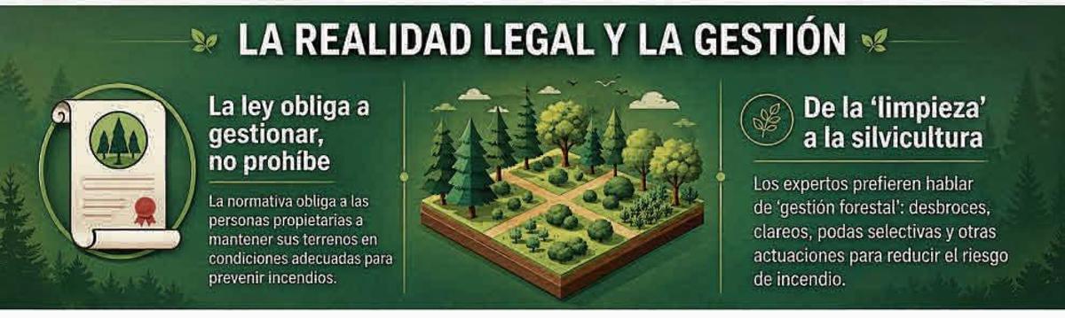 La realidad legal y la gestión.