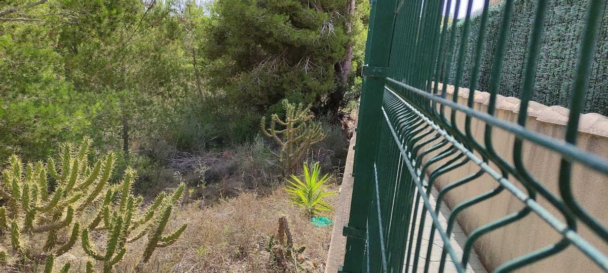 Vecinos alertan de que la falta de mantenimiento agrava el peligro de incendio