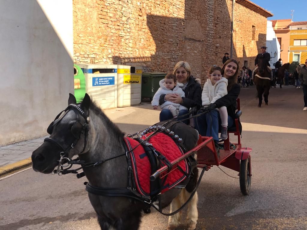 Les millors imatges de l'entrada del Pi de les Quintes i els Quintos a Santa Magdalena