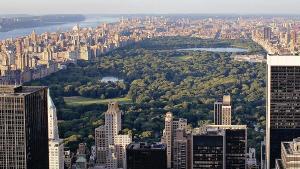 Central Park, en Nueva York.