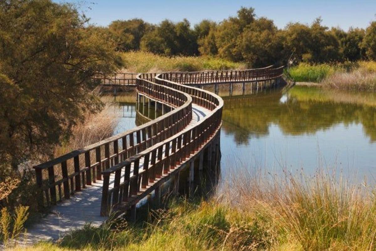 Parque nacional de las Tablas de Daimiel (España)