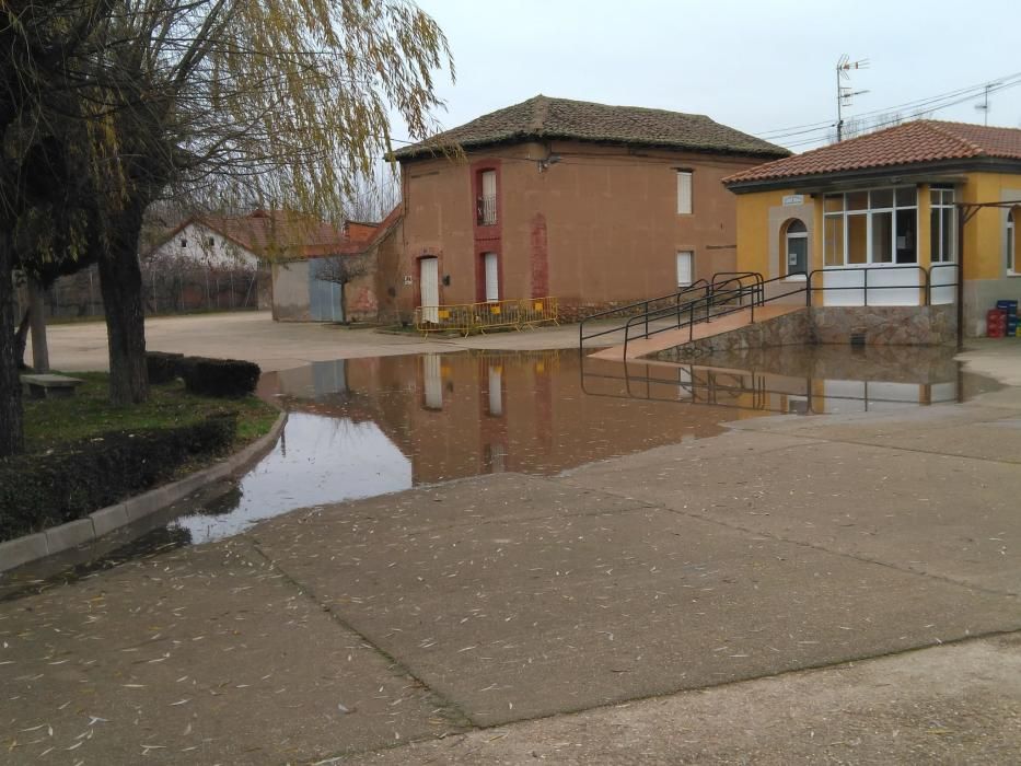 Benavente | El río Órbigo rodea ya Vecilla de la P