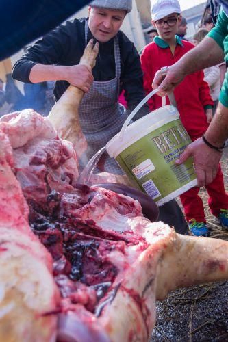 Matanza del cerdo en Tábara