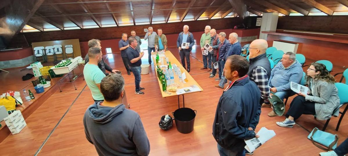 Un taller de la Asociación de Sidra Casera de Salas.