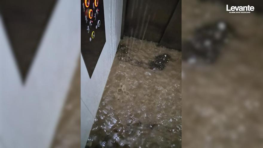 El testimonio de un vecino de València que casi muere ahogado en un ascensor: "Recibimos la alerta tarde"