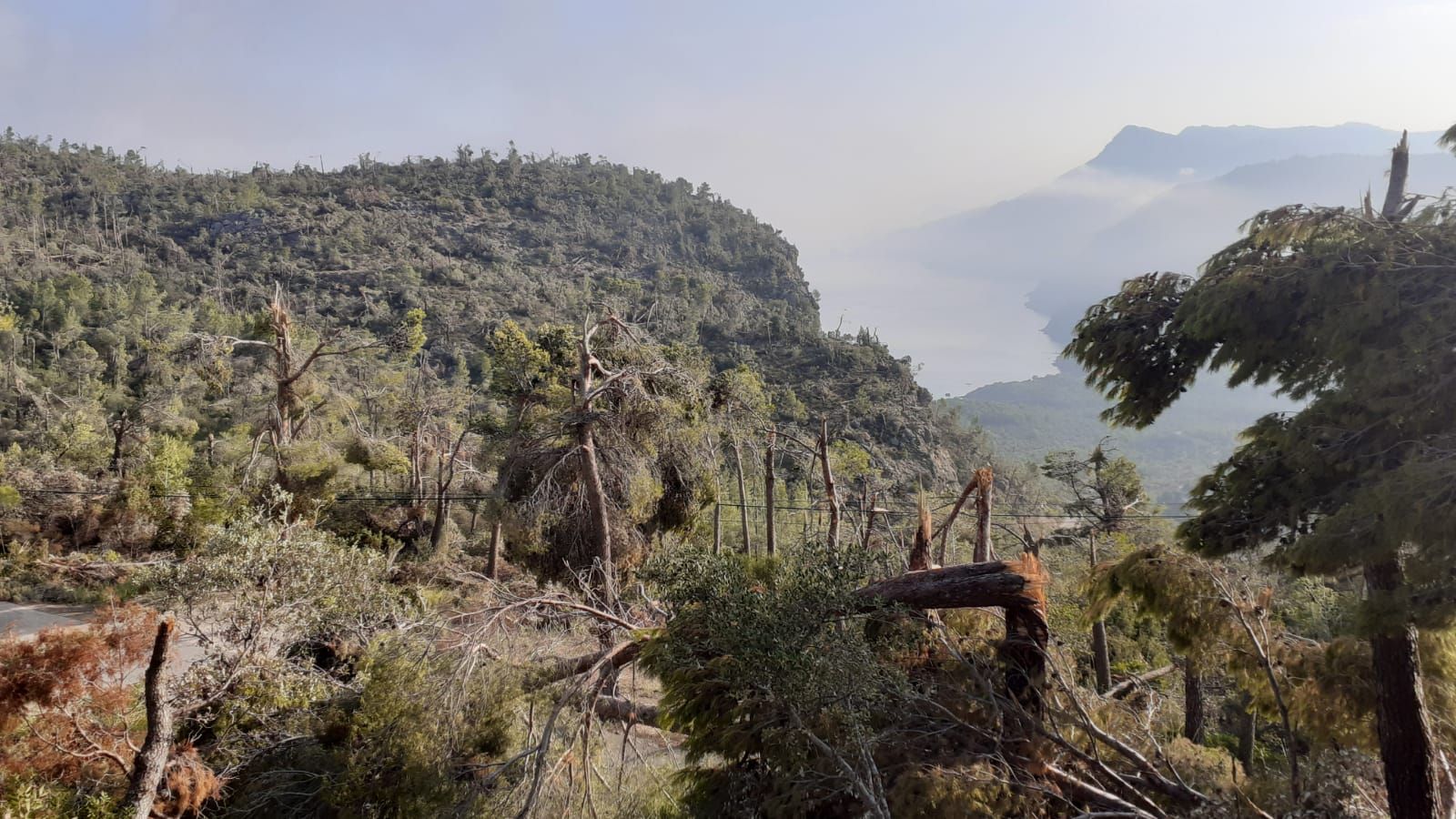 Francina Armengol visita la ‘zona cero’ de la catástrofe ambiental en Banyalbufar