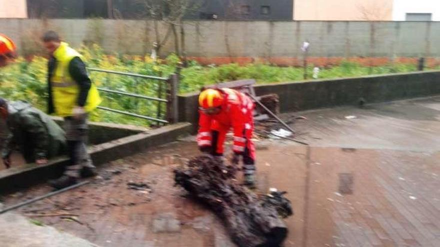 El tronco que se retiró del río Bouzós en Cangas.  //G.N.