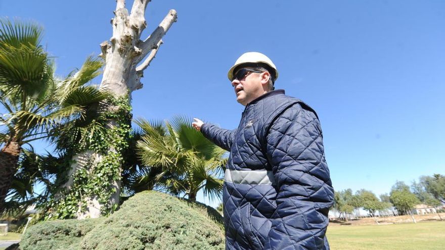 Canibalismo entre bacterias, sin oxígeno unas se comen a las otras