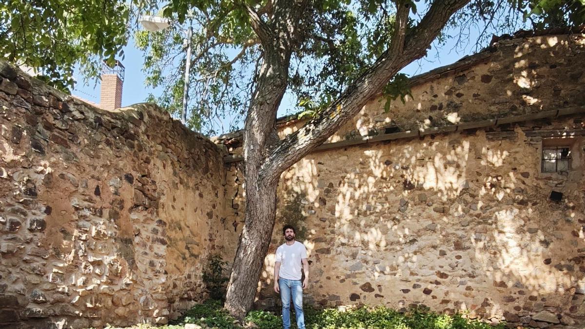 Alberto Sánchez, propietario de la casa, junto al nogal centenario en su jardín