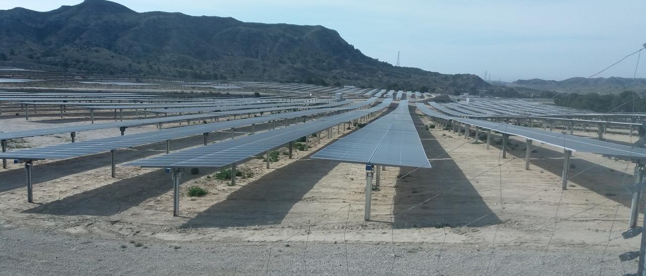 La planta solar que ya tiene X-Elio en funcionamiento en Xixona