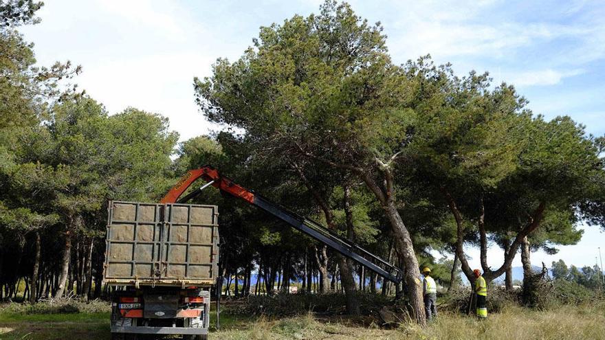 El parque del Campamento Benítez abrirá en 15 días, aunque no esté terminado.