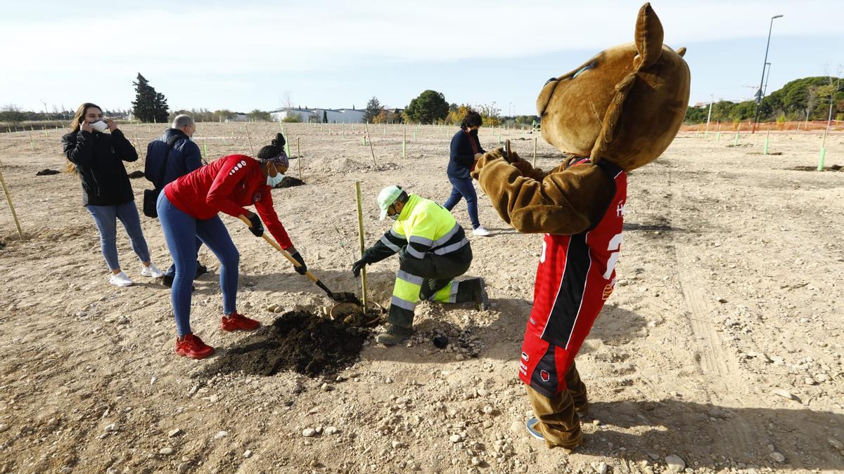 La mascota Link junto a Sierra Calhoun ha plantado un árbol