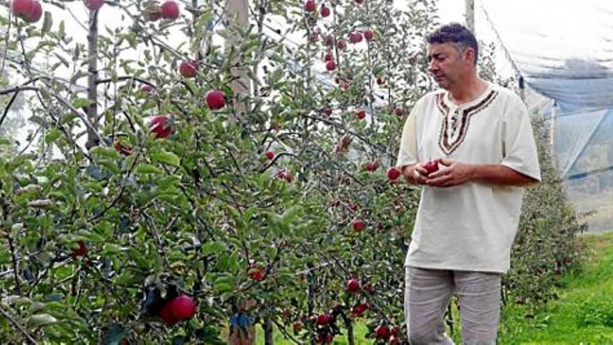 Josep Pintó entre les pomeres de la seva explotació