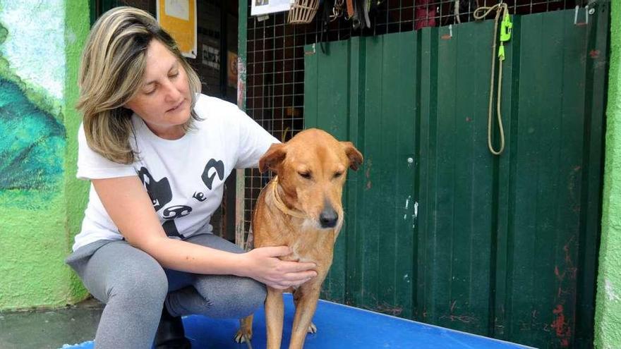 ABANDONO ANIMAL: 27.000 animales abandonados en Galicia en 365 días