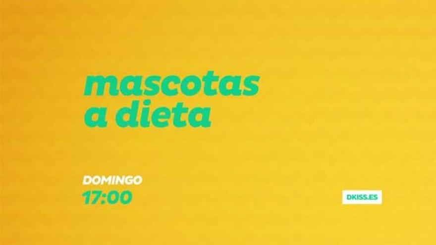 &quot;Mascotas a dieta&quot; o un &quot;reality&quot; de herreros, el lado más &quot;friki&quot; de la TDT