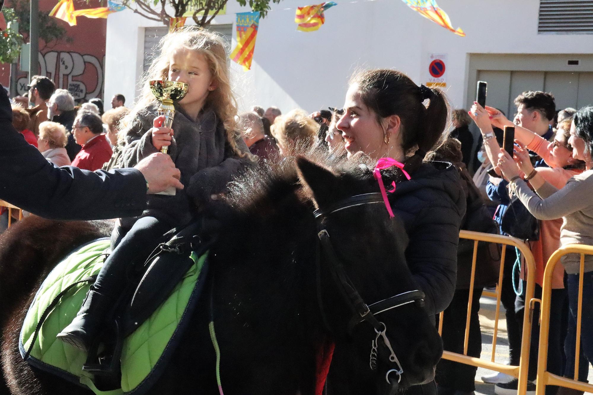 Perros policía y animales de granja completan el desfile de Sant Antoni en València