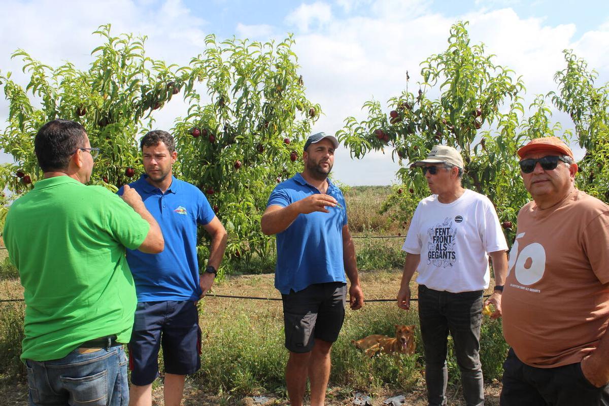 Representantes de La Unió en un campo agrícola.