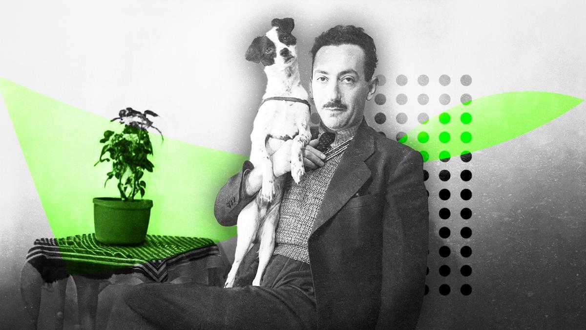 Autorretrato de Nicolas Muller con "Samu" en Tánger, en 1942, incluido en la exposición "La mirada comprometida"