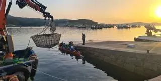 Pesca, marisqueo y acuicultura buscan jóvenes
