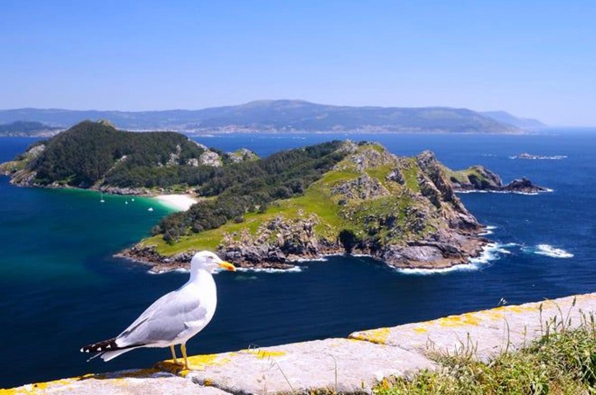 Islas Cíes, en Vigo (Galicia).
