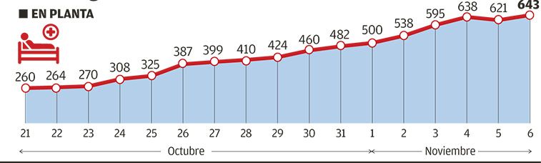 Evolución de los ingresados en planta