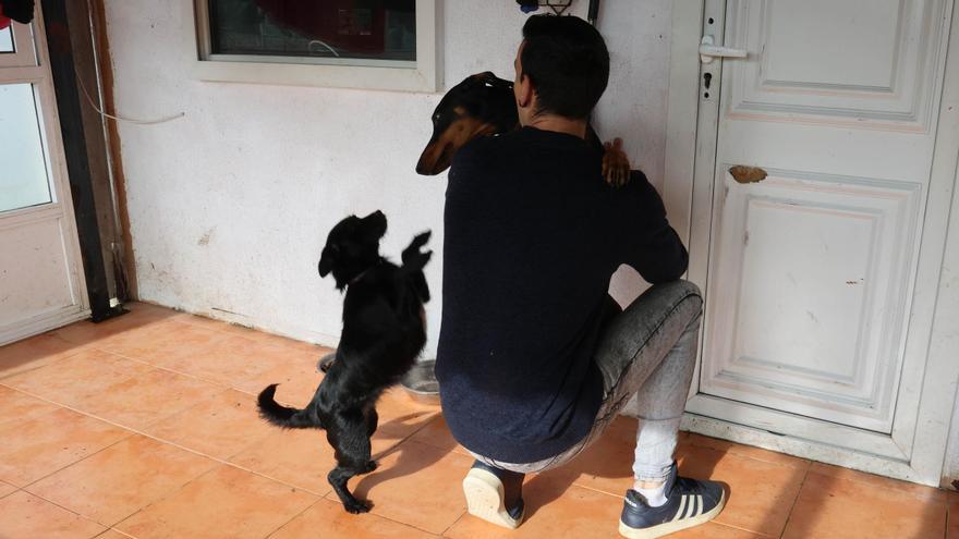 José Luis Gallego Ferro, con sus dos perras en la vivienda donde reside de forma tempora