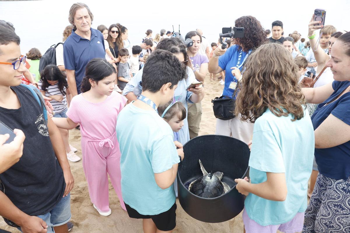 La vuelta al mar de la tortuga lora rescatada en Gijón tras recuperarse en el Acuario, en imágenes La vuelta al mar de la tortuga lora rescatada en Gijón tras recuperarse en el Acuario, en imágenes