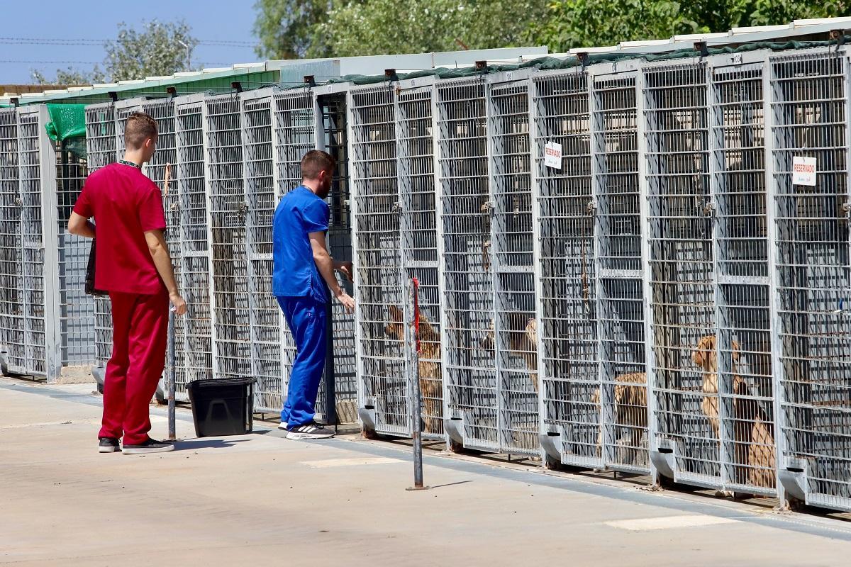 Instalaciones del Centro de Bienestar Animal de Sadeco en Córdoba.