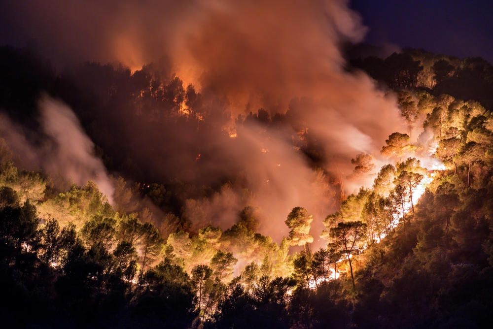 Alarm auf Mallorca: Waldbrand bei Andratx