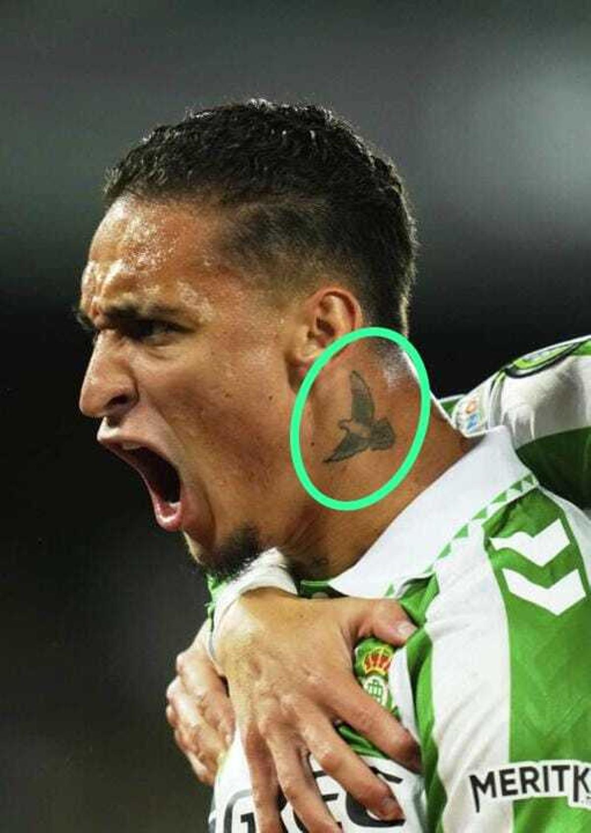 El pajaro tatuado de Antony que emula la casulidad de las aves