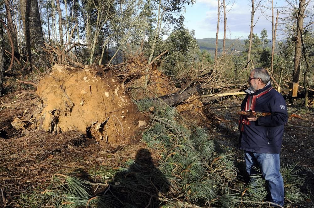 Destrozos en el acceso a la fervenza del río Toxa