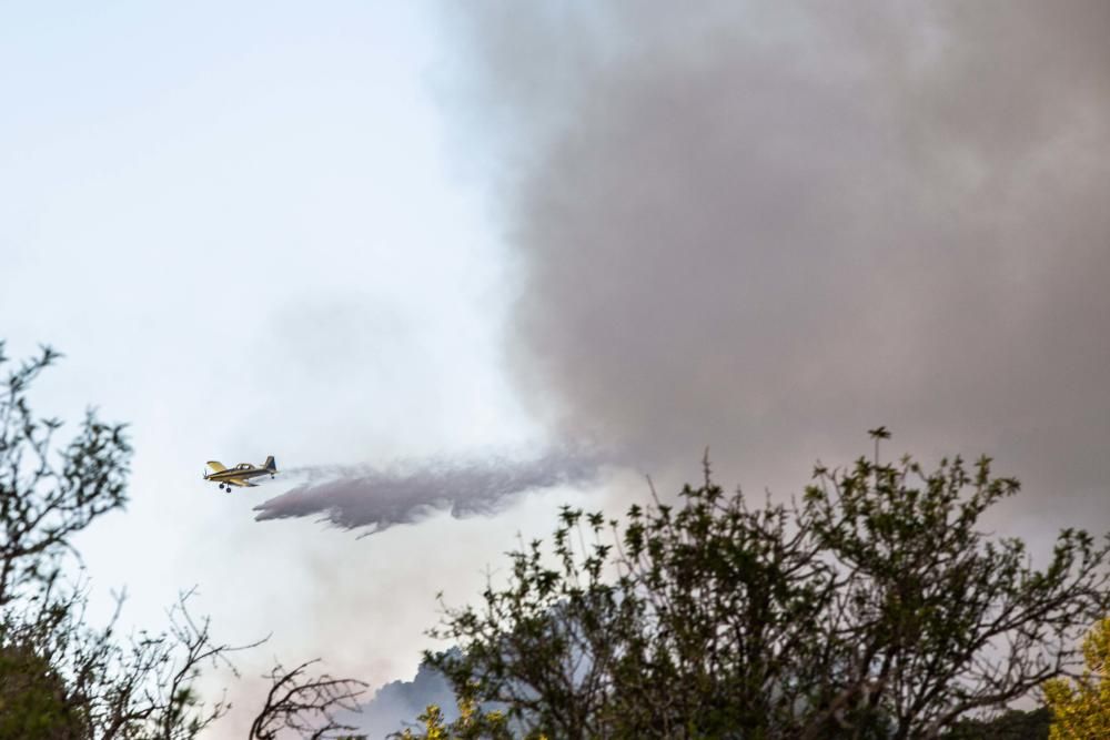 Incendio forestal en Ibiza