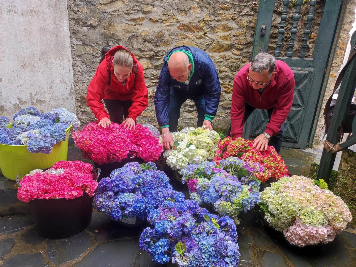 En imágenes: Castropol se llena de flores para el Corpus