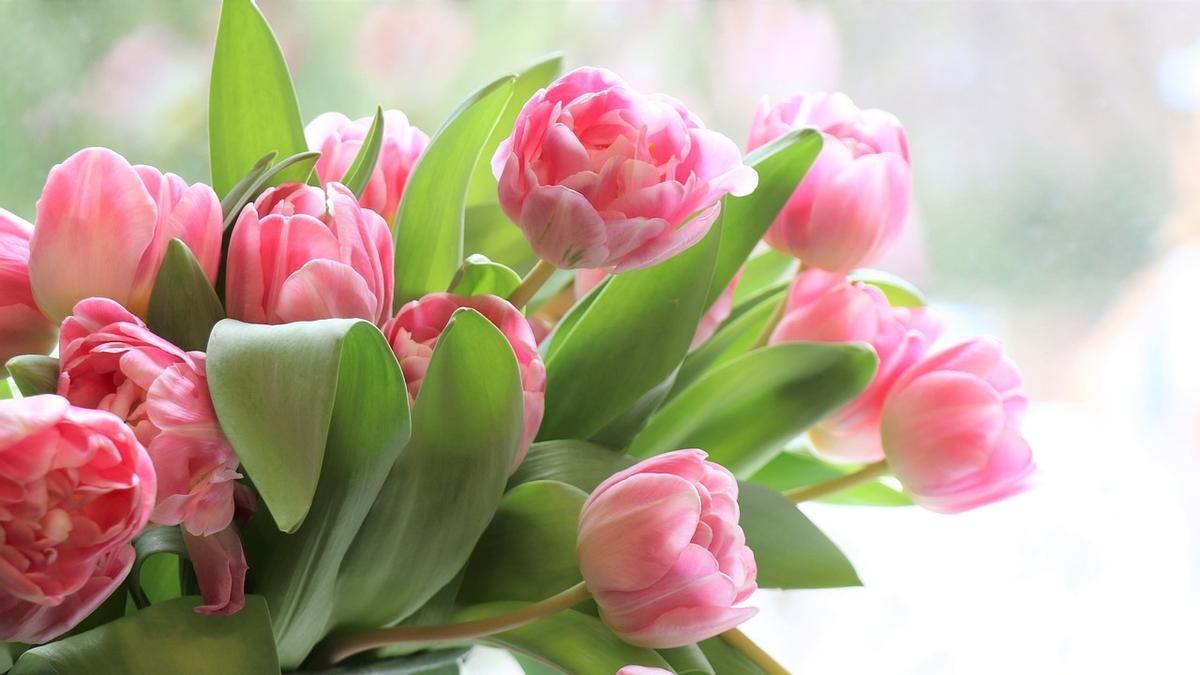 Los tulipanes de Lidl son una buena opción para regalar en el día de la madre.