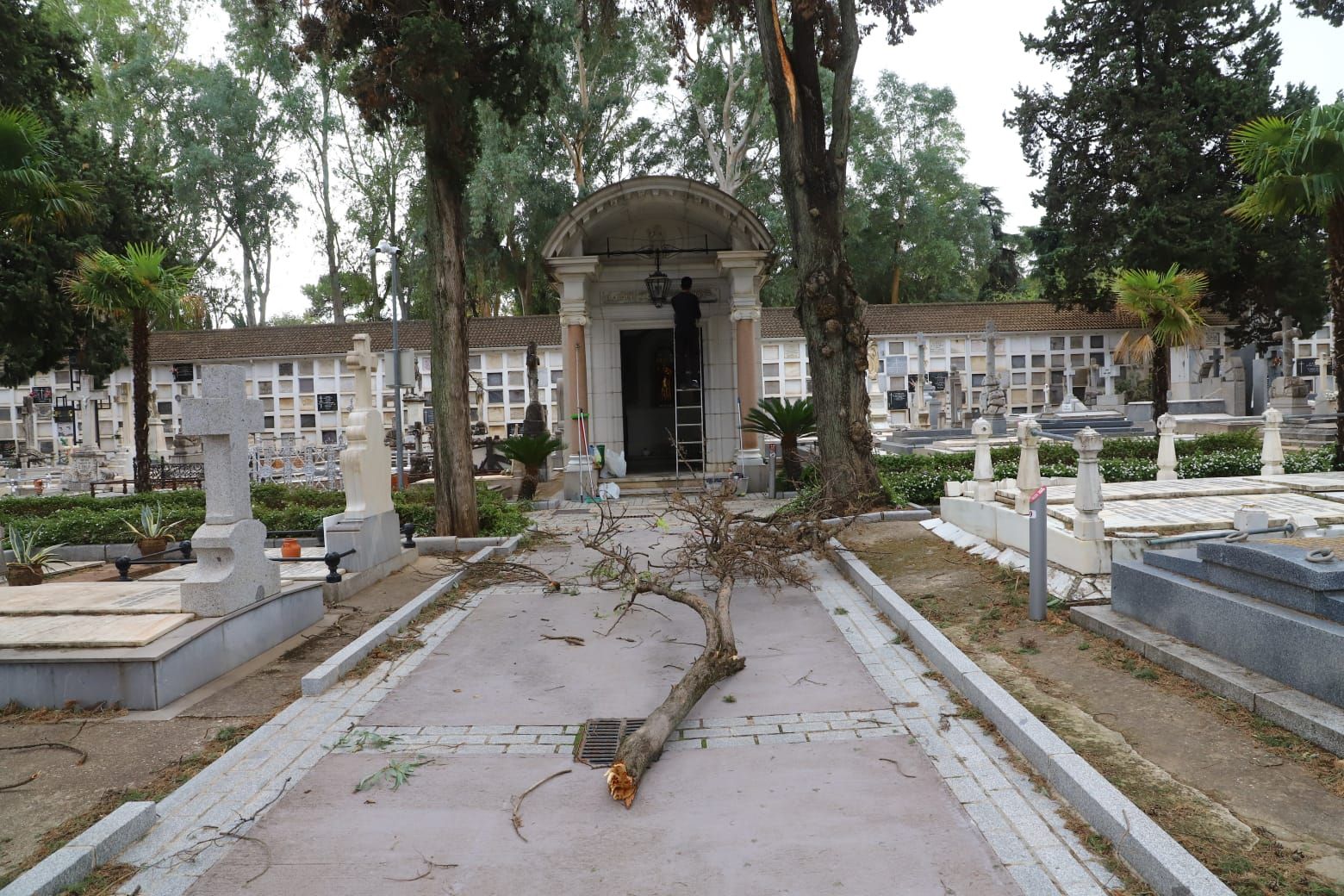 Cementerio de la Salud