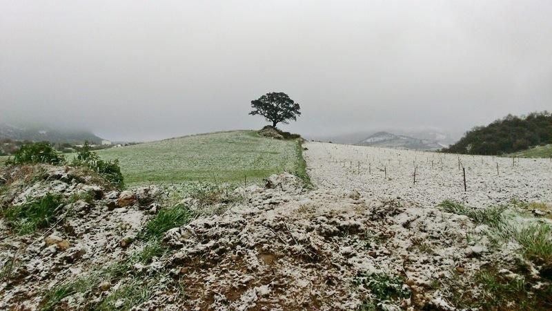 Alfarnate bajo un manto de nieve.