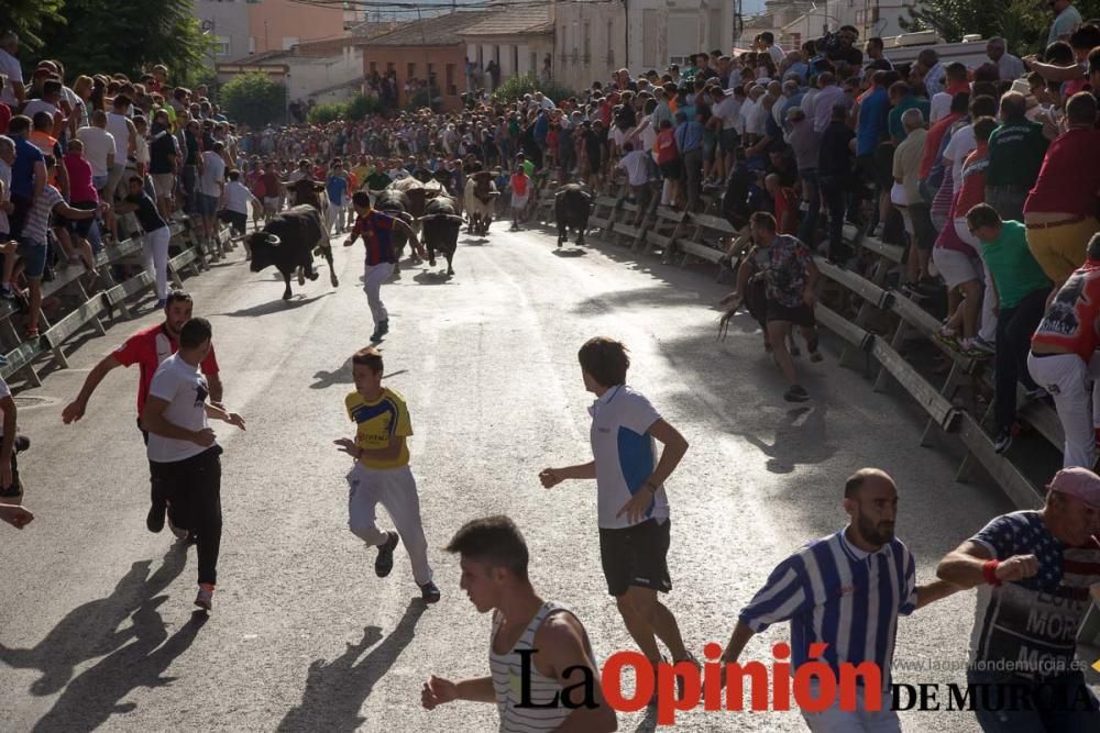 Segundo encierro de Calasparra