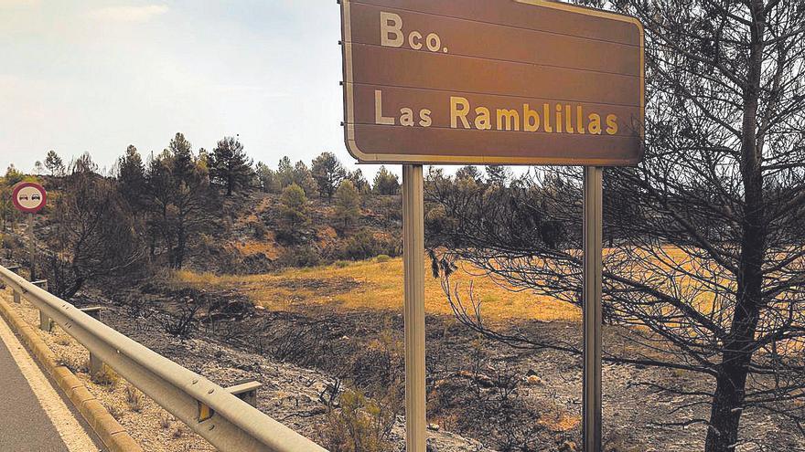 Viver. Incendio forestal en Alcublas, despues de quemar en Bejis y Viver. Zona quemada