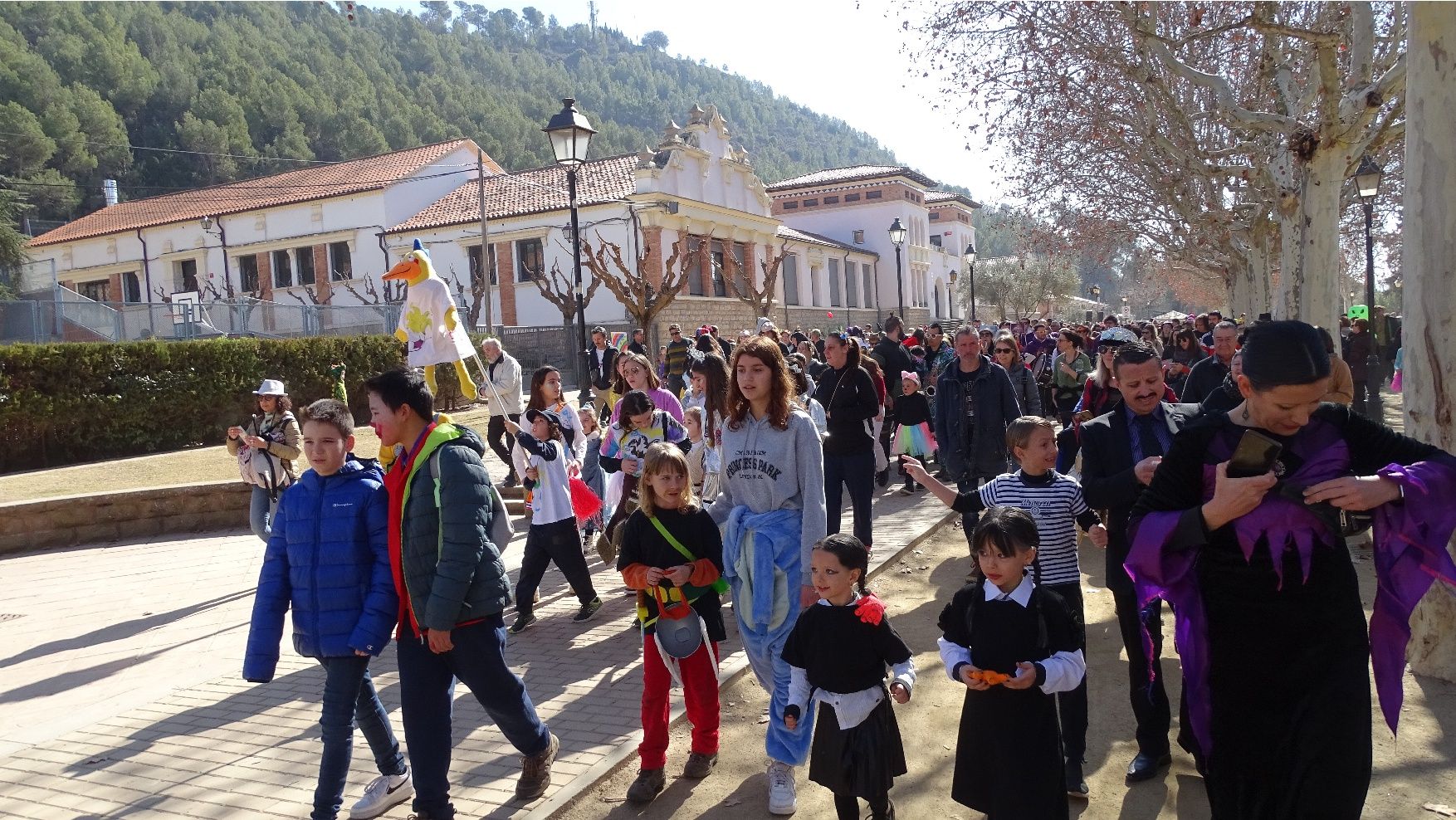 Troba't a les fotos del Carnaval infantil de Sallent